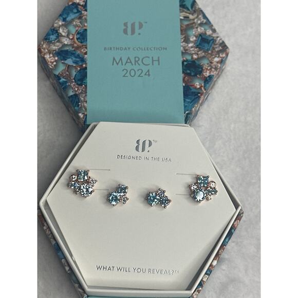 Bomb Party Jewelry - Bomb Party RBP7287 March 2024 "Drops of Shimmer" earrings